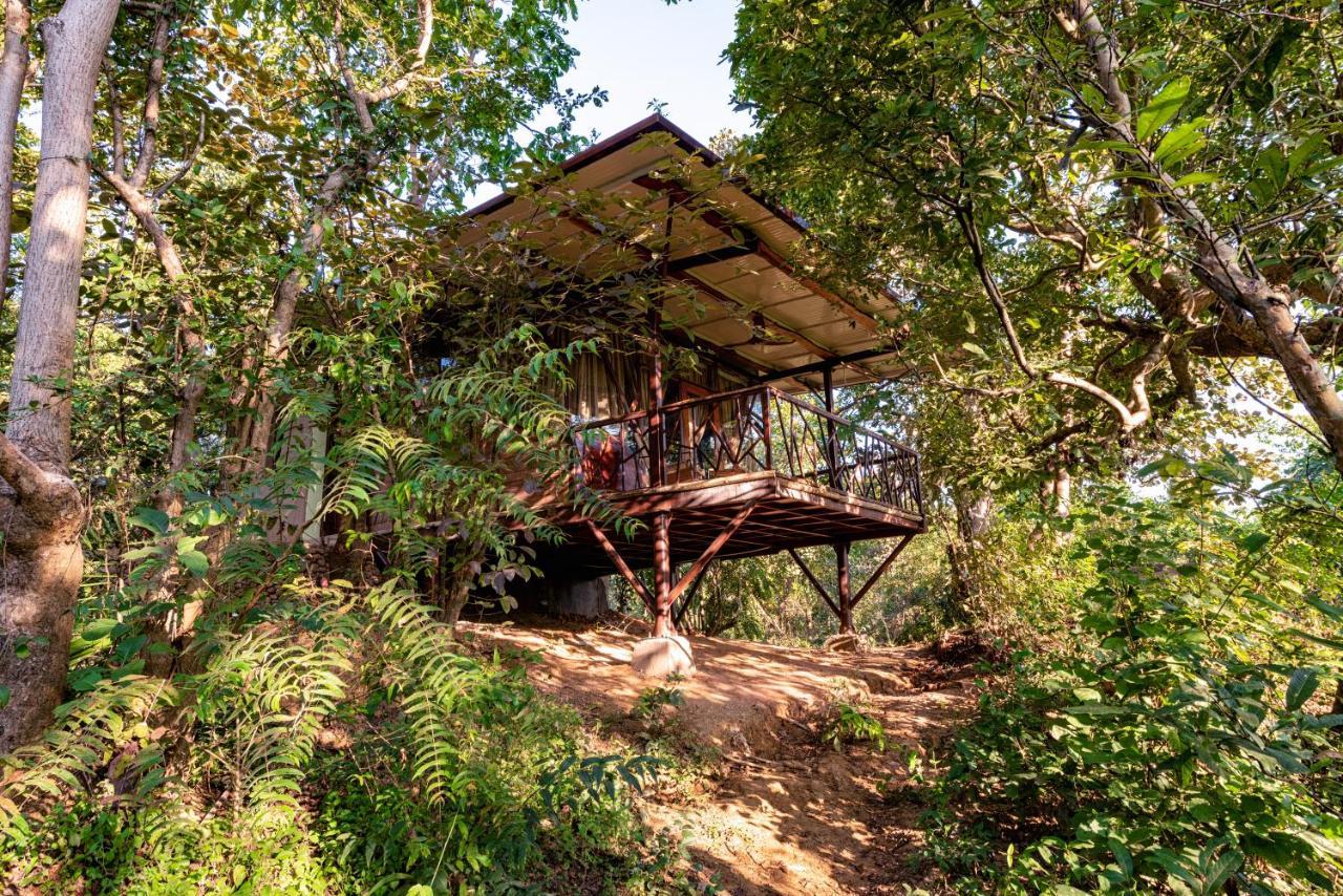 Kanha Jungle Camp Exterior photo