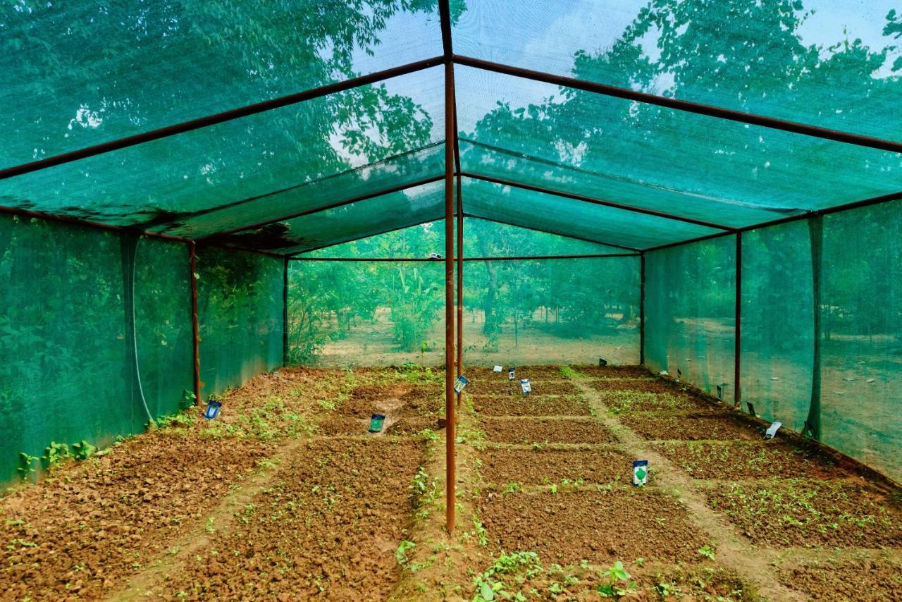 Kanha Jungle Camp Exterior photo