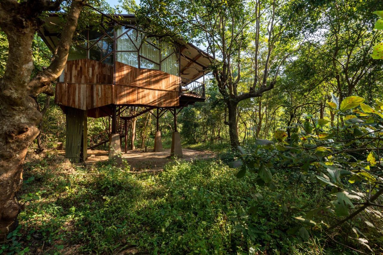 Kanha Jungle Camp Exterior photo