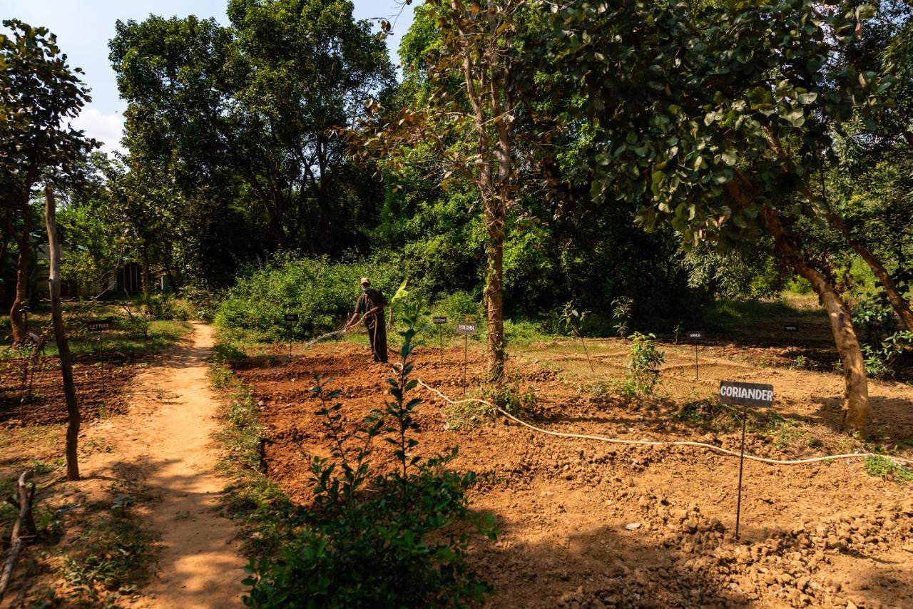 Kanha Jungle Camp Exterior photo